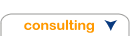 Consulting